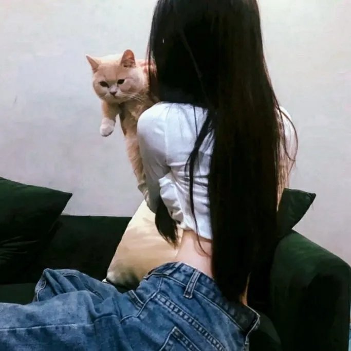 玩命情劫